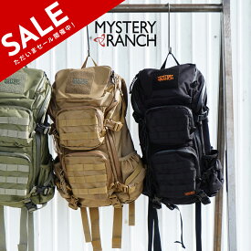 ミステリーランチ MYSTERY RANCH ブリッツ BLITZ 30 バックパック リュック メンズ レディース 2022秋冬 112771 【送料無料】0903