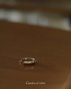 K[fIuGf Garden of eden gCAOuCNO jZbNX TRIANGLE BREAK RING ED26SS-095 silver925 Vo[925 Vo[O XbVO d˕tO 1204