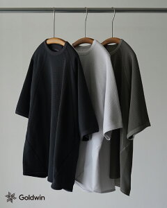 �S�[���h�E�C�� Goldwin ���b�V��WF�A�N�`�m�C�hT�V���c �����Y Mesh WF Actinoid T-shirt GL66142 T�V���c �N���[�l�b�N ���� ���O���� �T�[�}�� 0506