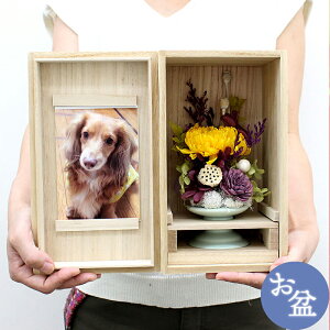 犬 お悔やみ 花の人気商品 通販 価格比較 価格 Com 犬 お悔やみ 花の人気商品 通販 価格比較 価格 Com