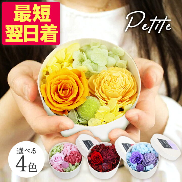 楽天市場】父の日 2025 プレゼント 花 ギフト 楽天 平日15時迄当日発送 
