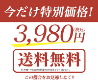 写真印刷0円!超早割クーポン利用で送料無料3,999円!敬老の日ギフトに♪枯れない生花感動写真立て楽天ランキング1位獲得!プリザーブドフラワーKARENフォトフレームプリザーブドフラワー誕生日プレゼント結婚祝プリザードフラワー送別ギフト母の日お中元