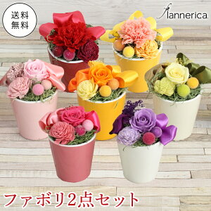 誕生日 花 写真の通販 価格比較 価格 Com 誕生日 花 写真の通販 価格比較 価格 Com