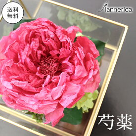楽天市場 芍薬の通販