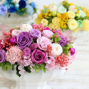 母の日 花 おしゃれの人気商品 通販 価格比較 価格 Com