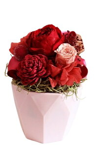 yŒZzB15YzvU[uht[ AWg Cocotte Favori RRbgt@{ nEB ܎O vw̓ v[g Mtg  a ʐ^ o NAP[