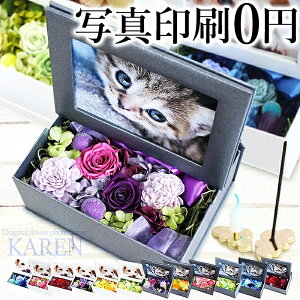 犬 お供え 花の人気商品 通販 価格比較 価格 Com