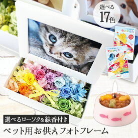【最短翌日配達★15時〆】ペット お悔やみ 花 お供え プリザーブドフラワー 犬 猫 亡くなった 贈り物 写真 プリント 無料 フォトフレーム 写真立て 仏花 位牌 写真付き 遺影 ペット用 仏具 初盆 お盆 ギフト フォトフレーム L版 ウサギ 線香 ろうそく 枯れない