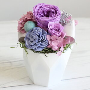 yŒZzB15YzvU[uht[ AWg Cocotte Favori RRbgt@{ nEB ܎O vw̓ v[g Mtg  a ʐ^ o NAP[