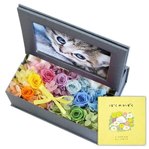  ~  AWg vU[uht[  ybg    tHgt[ ʐ^  L SȂ 蕨 ʐ^ vg  Lh G{ Zbg  