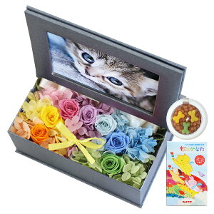 yŒZzB15Yzybg    vU[uht[  L SȂ 蕨 ʐ^ vg  tHgt[ ʐ^  ʔv ʐ^t e ybgp  