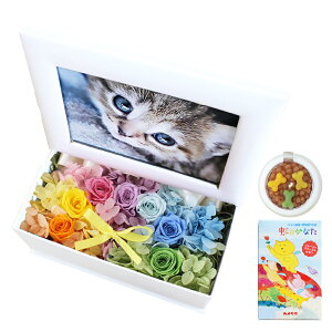 yŒZzB15Yzybg    vU[uht[  L SȂ 蕨 ʐ^ vg  tHgt[ ʐ^  ʔv ʐ^t e ybgp  