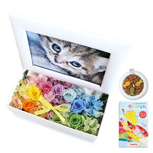 yŒZzB15Yzybg    vU[uht[  L SȂ 蕨 ʐ^ vg  tHgt[ ʐ^  ʔv ʐ^t e ybgp  