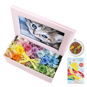 yŒZzB15Yzybg    vU[uht[  L SȂ 蕨 ʐ^ vg  tHgt[ ʐ^  ʔv ʐ^t e ybgp  