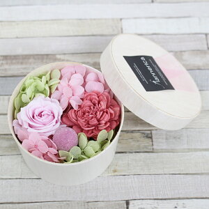 �y�ŒZ�����z�B��15���Y�z�v���U�[�u�h�t�����[ Petite(�v�e�B�b�g) �A�����W�����g ���Ε� �N���X�}�X ������ �v���[���g �M�t�g �� �a���� �v���[���g ��̂Ђ�T�C�Y �A�����W�v���U �v�`