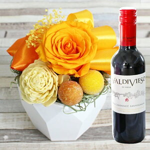 yŒZzB15YzvU[uht[ Ε NX}X  v[g Mtg  Favori C Zbg  Mtg NAP[Xt l j  o a j FB 