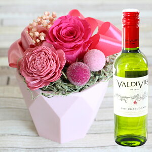 yŒZzB15YzvU[uht[ Ε NX}X  v[g Mtg  Favori C Zbg  Mtg NAP[Xt l j  o a j FB 