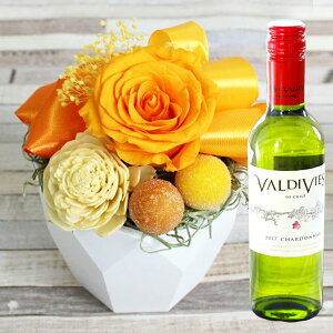 yŒZzB15YzvU[uht[ vw̓ Ε NX}X  v[g Mtg  Favori C Zbg  Mtg NAP[Xt l j  o a 