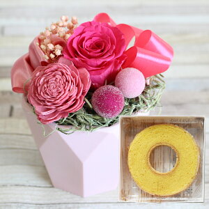 yŒZzB15YzvU[uht[ Favori ԂƂَq nEB ܎O vw̓ v[g  XC[cZbg oEN[w XC[c Zbg ʐ^ j j 