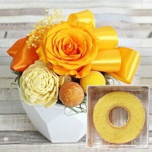 yŒZzB15YzvU[uht[ Favori ԂƂَq nEB ܎O vw̓ v[g  XC[cZbg oEN[w XC[c Zbg ʐ^ j j 