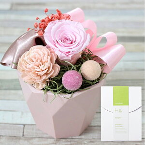 yŒZzB15YzvU[uht[ Favori H& f Zbg nEB ܎O vw̓ v[g  ܃Zbg Mtg j ʐ^ o a j 