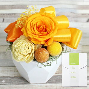 yŒZzB15YzvU[uht[ Favori H& f Zbg nEB ܎O vw̓ v[g  ܃Zbg Mtg j ʐ^ o a j 