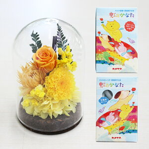 yŒZzB15YzvU[uht[   KXh[uvE\N  Zbg NAP[Xt 񂰑ܕt ybg ʔv  ʐ^t e r  @v { 