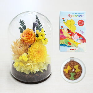 yŒZzB15YzvU[uht[   KXh[uvE\N  Zbg NAP[Xt 񂰑ܕt ybg ʔv  ʐ^t e r  @v { 