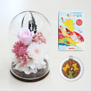 yŒZzB15YzvU[uht[   KXh[uvE\N  Zbg NAP[Xt 񂰑ܕt ybg ʔv  ʐ^t e r  @v { 