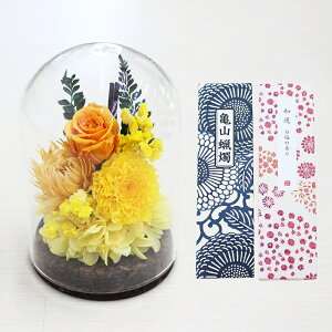 yŒZzB15YzvU[uht[   KXh[uvNAP[Xt 񂰑ܕt E\N   Zbg  ʐ^t e o vU  Mtg 