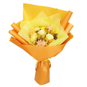 yŒZzB15YzvU[uht[ ԑ nEB ܎O vw̓ v[g Mtg  a Iׂ4F ʐ^ ̂܂܏ e e ԑ uU[h