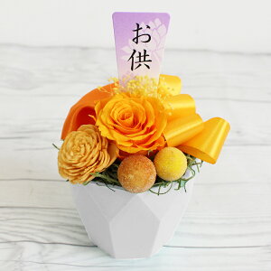 15 ybg  Favori sbNt NAP[Xt  ʔv vU[uht[  ʐ^t e ybgp  o L  NAP[Xt ԕr炸 1 