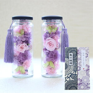 yŒZzB15YzvU[uht[   t[{g 2{ E\N  Zbg 񂰑ܕt dp e ʐ^t  {g TRE\N  sbNt  Wt