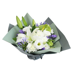 yŒZzB15Yz   ԑyDzp S3F {  mԂg{̂܂ v[g dp e   @   @v  r