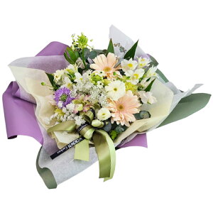 yŒZzB15Yz   ԑyDzp S3F {  mԂg{̂܂ v[g dp e   @   @v  r