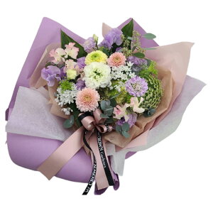 yŒZzB15Yz   ԑyDzp S3F {  mԂg{̂܂ v[g dp e   @   @v  r