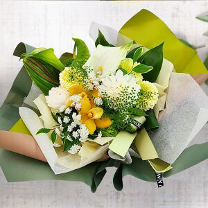 yŒZzB15YzG߂̉Ԃł܂AWg Ε NX}X  Mtg  a v[g  Mtg  t[ AW G { j  Iׂ t