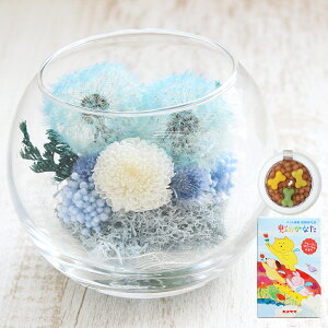 yŒZzB15YzvU[uht[   KXh[ ۂۃEhOX [\N  Zbg NAP[Xt 񂰑ܕt ybg  ʔv ʐ^t e r