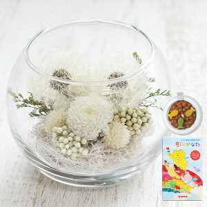 yŒZzB15YzvU[uht[   KXh[ ۂۃEhOX [\N  Zbg NAP[Xt 񂰑ܕt ybg  ʔv ʐ^t e r