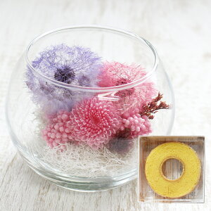 yŒZzB15YzvU[uht[ ۂ AWg nEB ܎O vw̓ v[g Mtg  a NAP[Xt ʐ^  rO ǂ