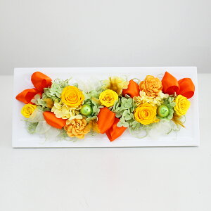 yŒZzB15YzvU[uht[ AWg EH[t[ Ε NX}X  v[g Mtg  a Ǌ| NAP[Xt j o M  