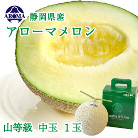【送料無料】【お届け日時指定OK】アローマメロン 山等級 1.2kg前後 1玉 静岡県産