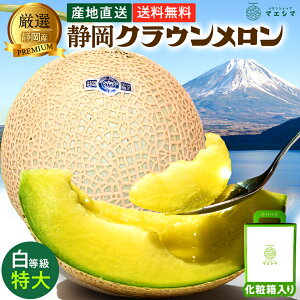 y͂wOKzyzÉNE  1.5kgO 1 KX͔| ÉY