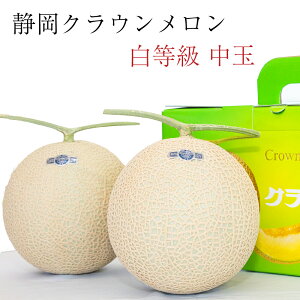 静岡県産 マスクメロン フルーツの人気商品 通販 価格比較 価格 Com