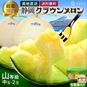 y͂wOKzyzÉNE R 1.3kgO 2 KX͔| ϔ ÉY