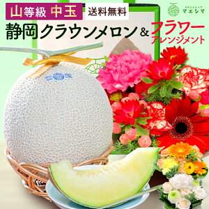 y͂wOKzyzÉNE×t[AWgZbg (NER 1.3kgO 1 (ÉY) )KX͔|