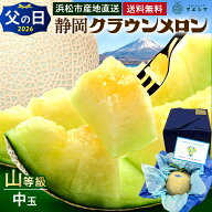 父の日【送料無料】静岡クラウンメロン 山等級 1.3kg前後 1玉 ガラス温室栽培 化粧箱入 静岡県産 (日時指…