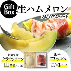 【お届け日時指定OK】【送料無料】生ハムメロンプレミアムギフトボックスセット (クラウンメロン山等級 1玉 (静岡県産) 生ハム(コッパ×1))ガラス温室栽培