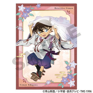 ���w�����T�L���y�\�񏤕i1�����{�����z���T��R�i���@�V���O���N���A�t�@�C���Q�]�ː�R�i��/�H�ؘ̉a��