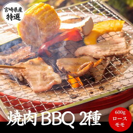 豚肉 焼肉 BBQ 詰め合わせ セット 600g ロース モモ 2種【200g 3パック】国産 小分け メガ盛り お得 大容量 バーベキュー 宮崎 ブランド 豚 くりぷ豚 国産 都城 冷凍 長期保存 肉 豚バラ 豚ロース 業務用 仕送り お取り寄せ ギフト 贈答